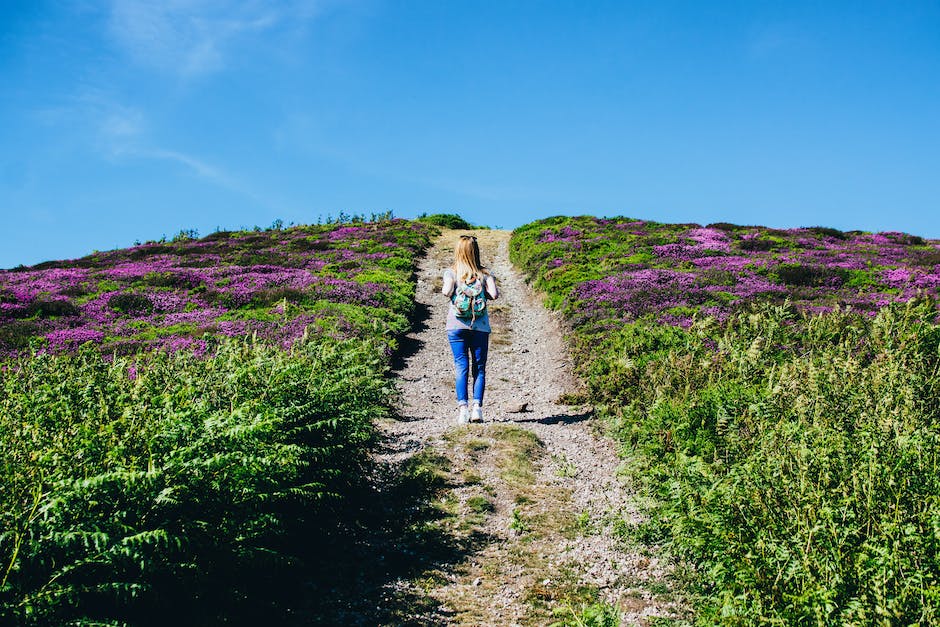  Online Reise buchen - die beste Zeit