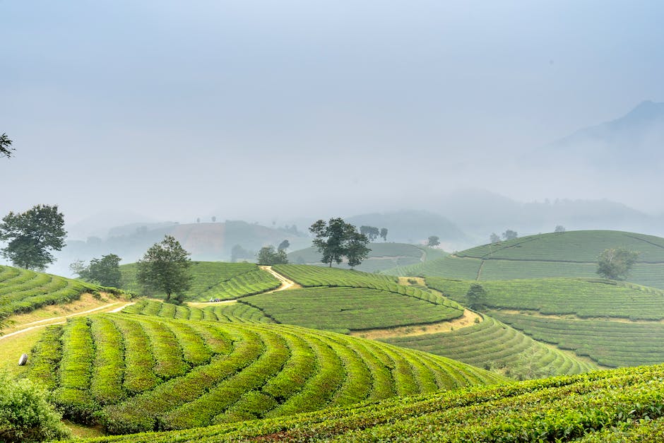  die beste Jahreszeit fuer Vietnam Reisen