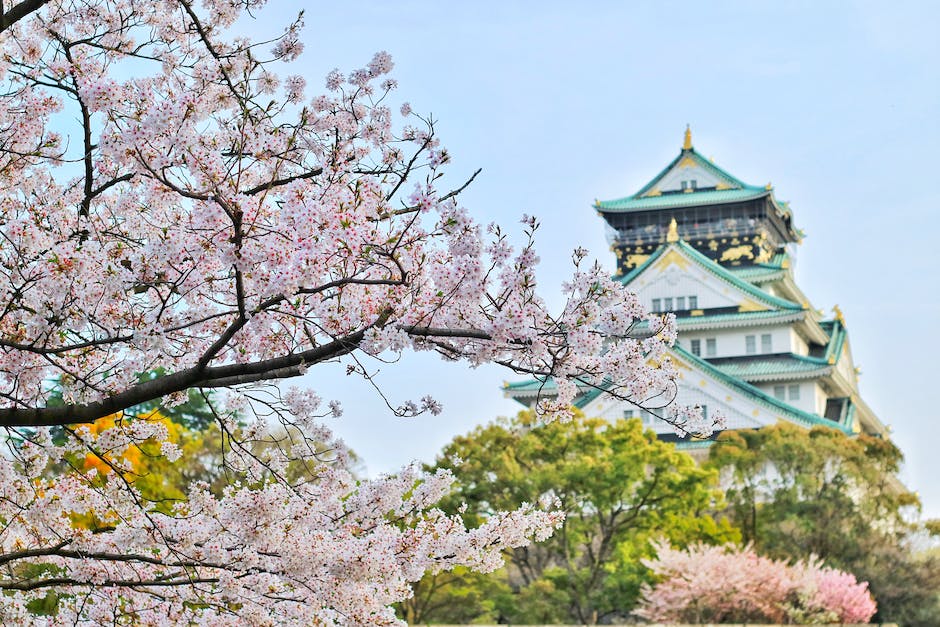 Japan Reisemöglichkeiten wieder eröffnen