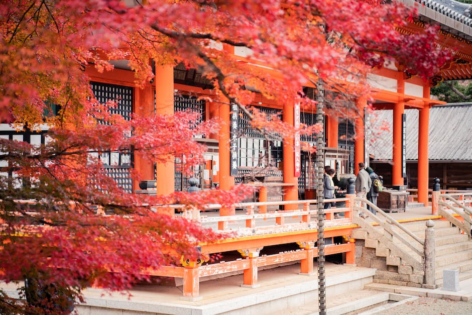  Japanreise nach den Lockerungen der Reisebeschränkungen