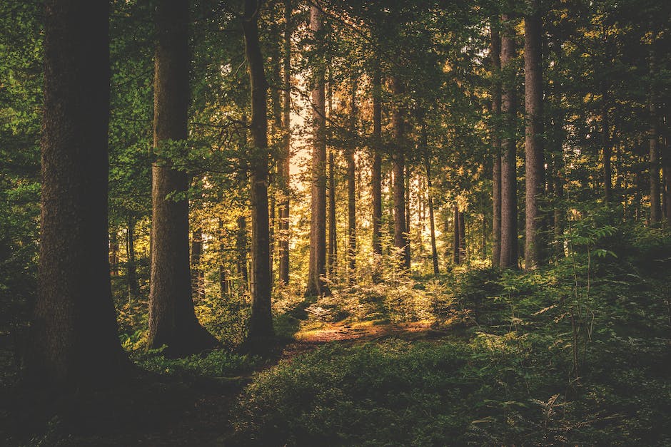  Reiseziele auf geheimnisvoller Insel 2 entdecken