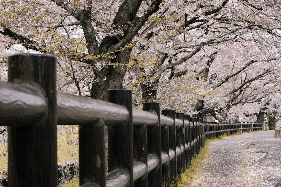  Japan Reisezeitpunkt bestimmen