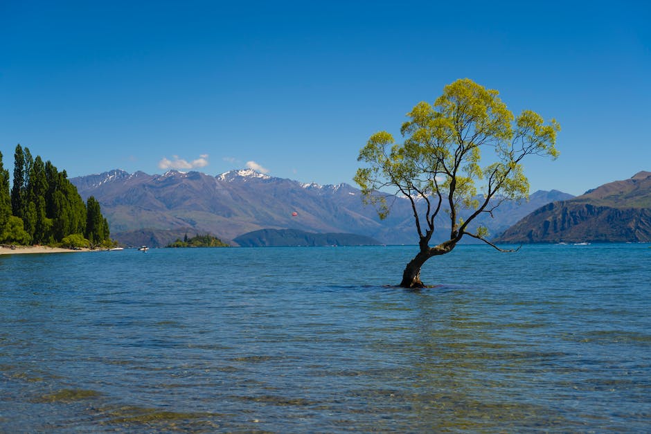  Neuseeland Reise Kosten