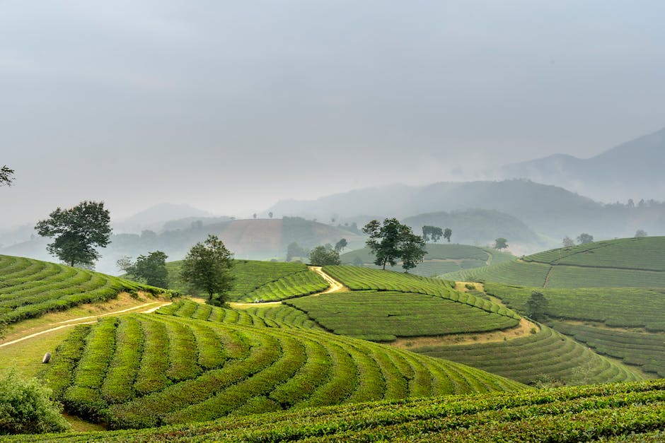  Kosten für eine Reise nach Vietnam