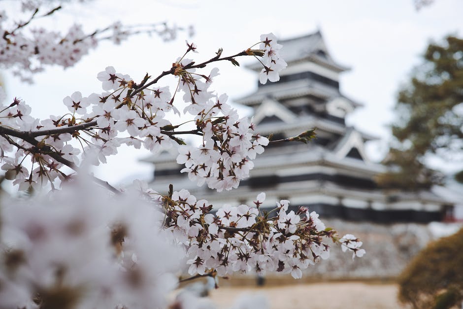  Japan Reise Preise vergleichen