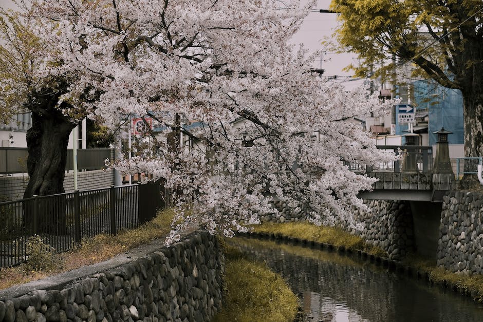 Reisekosten nach Japan