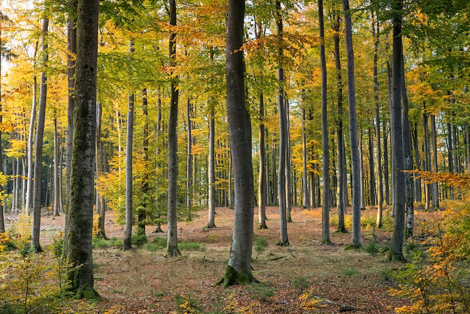 Reiseziele im Oktober in Deutschland